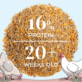 Close-up of Mile Four Organic Whole Grain Layer Chicken Feed with 16% protein formulated for laying hens 20 weeks and older.