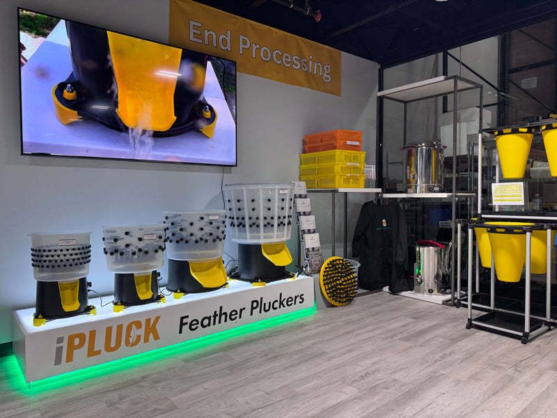 Hatching Time. Ipluck feather pluckers can be seen on stand to show different sizes for different poultry. A demo reel can be seen behind pluckers in warehouse.