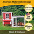Hatching Time OverEZ. Infographic shows small chicken coop can hold 5 chickens, is made in the USA with Amish-trained craftsmanship and is good for all seasons. Chickens can be see in small chicken run next to chicken coop.