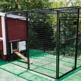 Hatching Time OverEZ 8 foot walk-in chicken run is connected to chicken coop.