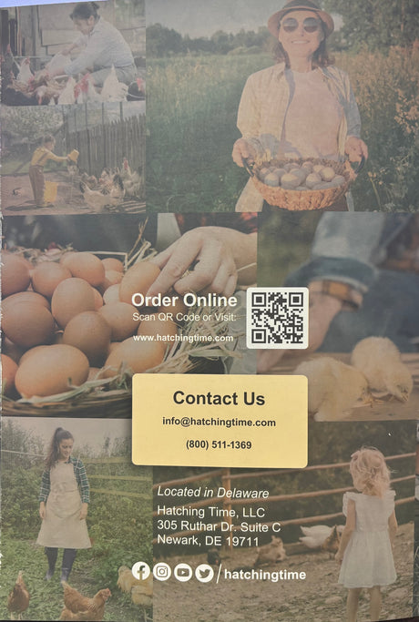 Hatching Time Catalog 2022