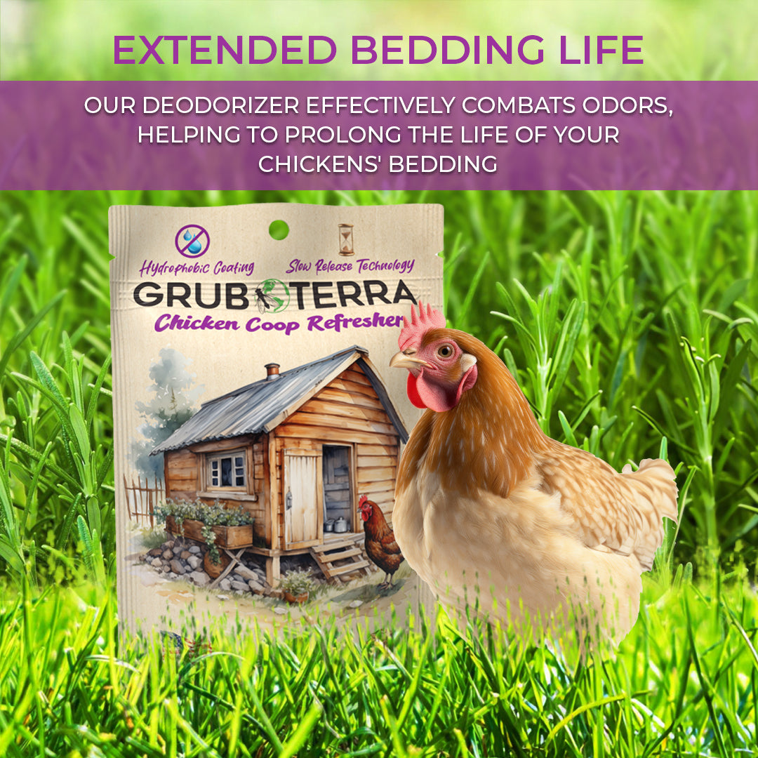 Hatching Time Grub Terra. Chicken Coop refresher. a 3d chicken can be seen in grass next to coop refresher. Text reads Extended bedding life.