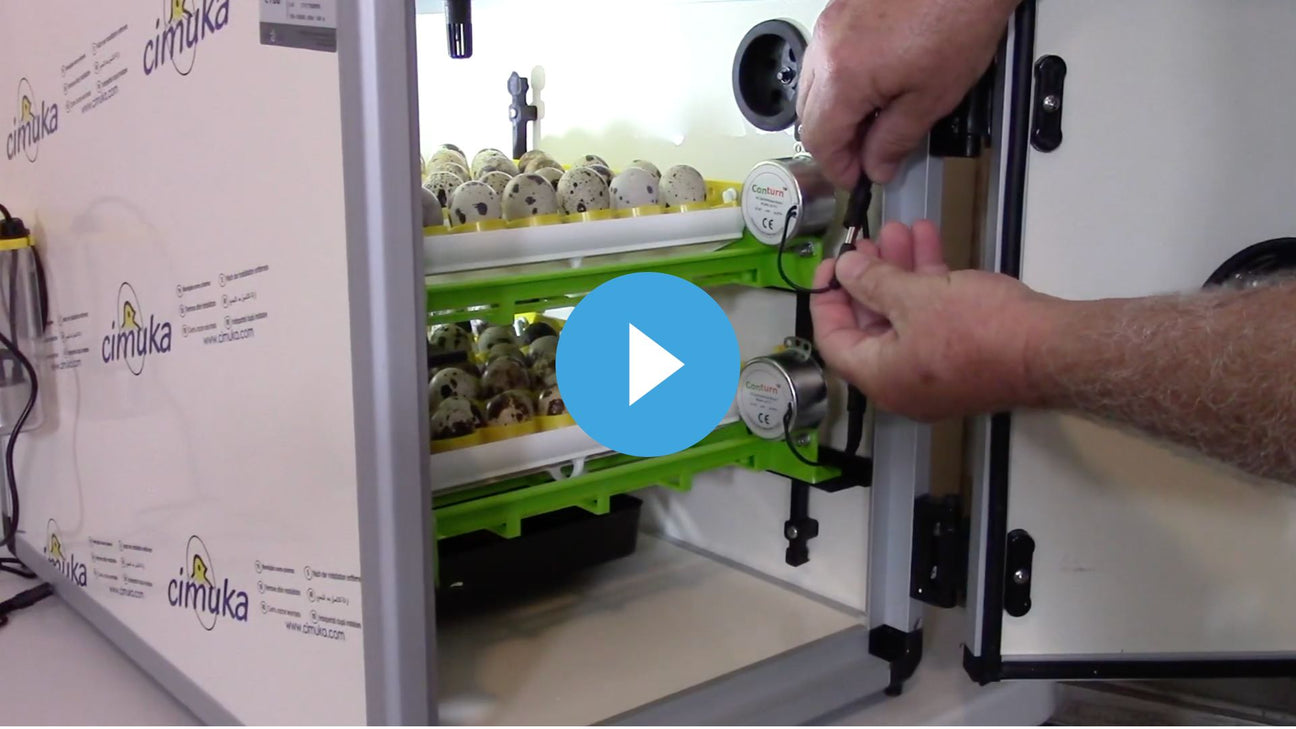 180 Egg Incubator & Hatcher Combo by Cimuka | Hatching Time