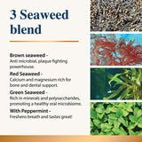 Karnlea dental powder graphic highlighting 3 seaweed blend ingredients