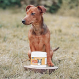 Dog sitting outdoors with Karnlea pumpkin powder supplement container