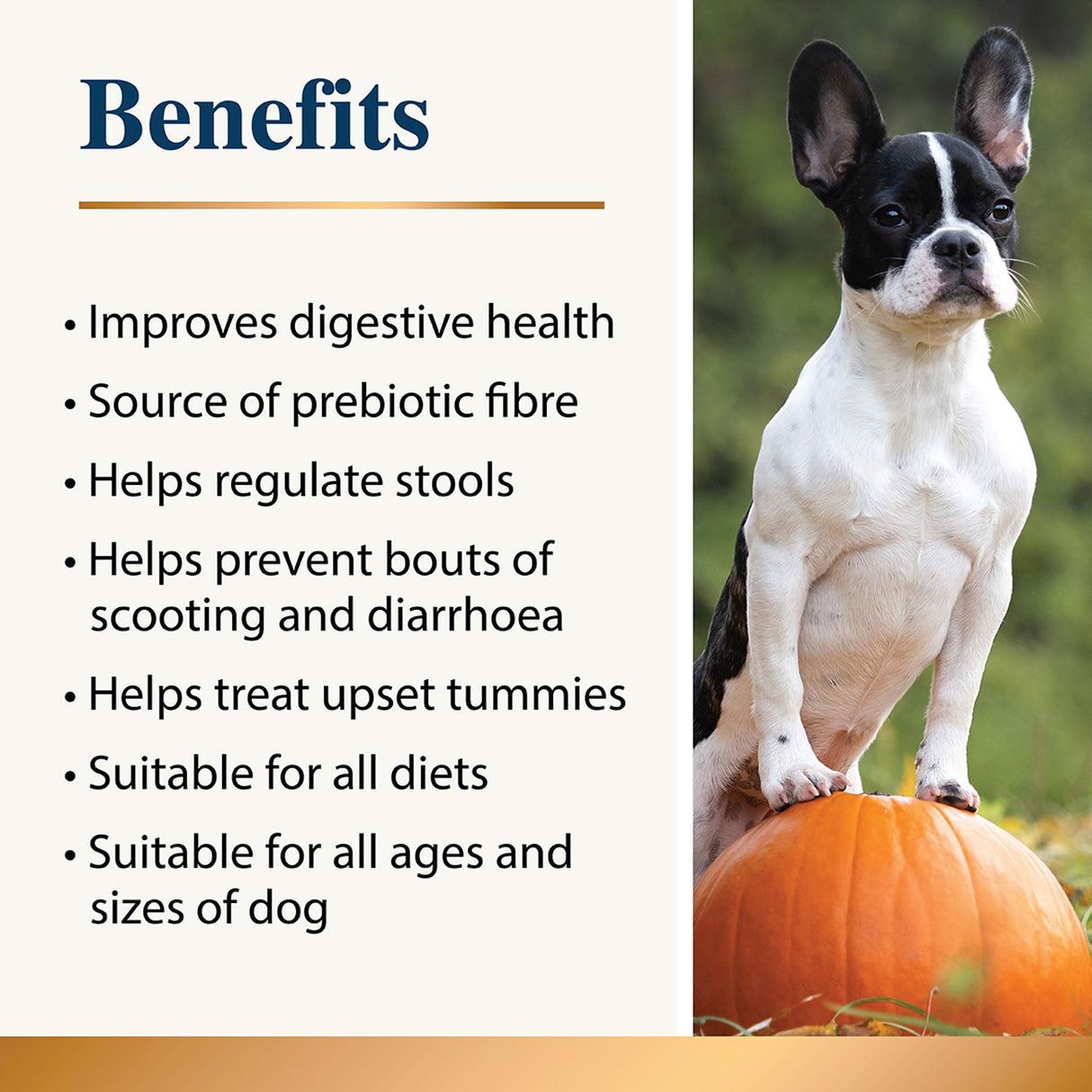 Karnlea pumpkin powder for dogs benefits list