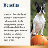 Karnlea pumpkin powder for dogs benefits list