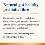 Karnlea pumpkin powder for dogs natural gut healthy prebiotic fibre