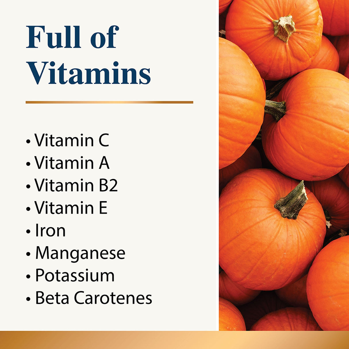 Karnlea pumpkin powder vitamin benefit graphic with pumpkins