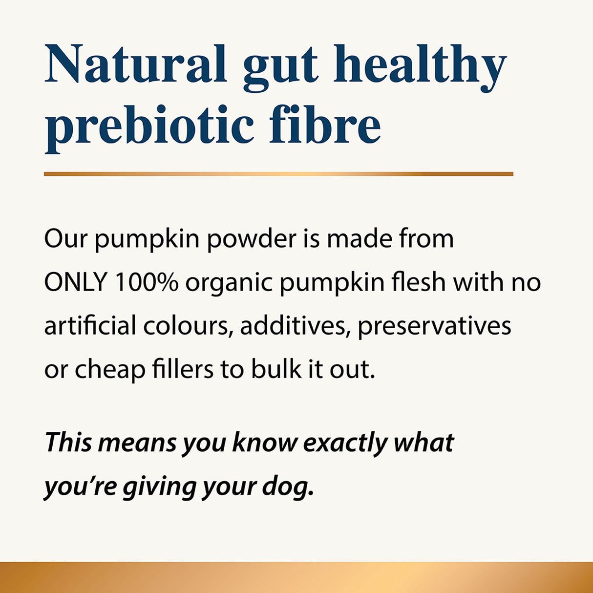 Karnlea pumpkin powder benefit graphic for natural gut healthy prebiotic fiber
