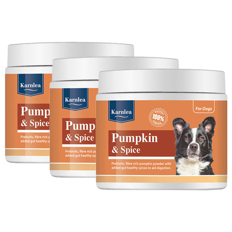 Pumpkin & Spice Powder Topper for Dogs
