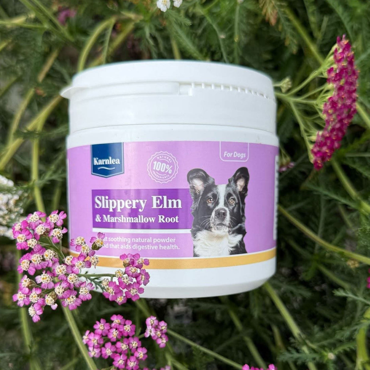 Karnlea Slippery Elm supplement container displayed outdoors