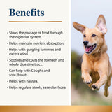Karnlea Slippery Elm benefits graphic with a dog picture