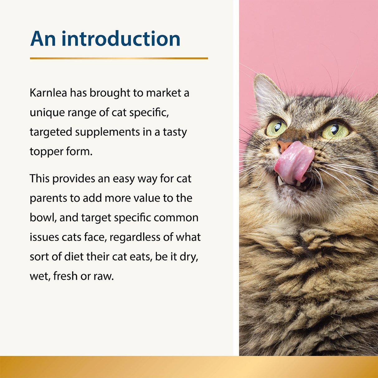 Appetite - Fussy Eaters for Cats