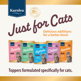 Chilled - Calming Aid for Cats