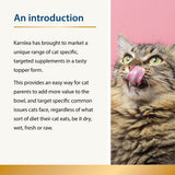 Chilled - Calming Aid for Cats