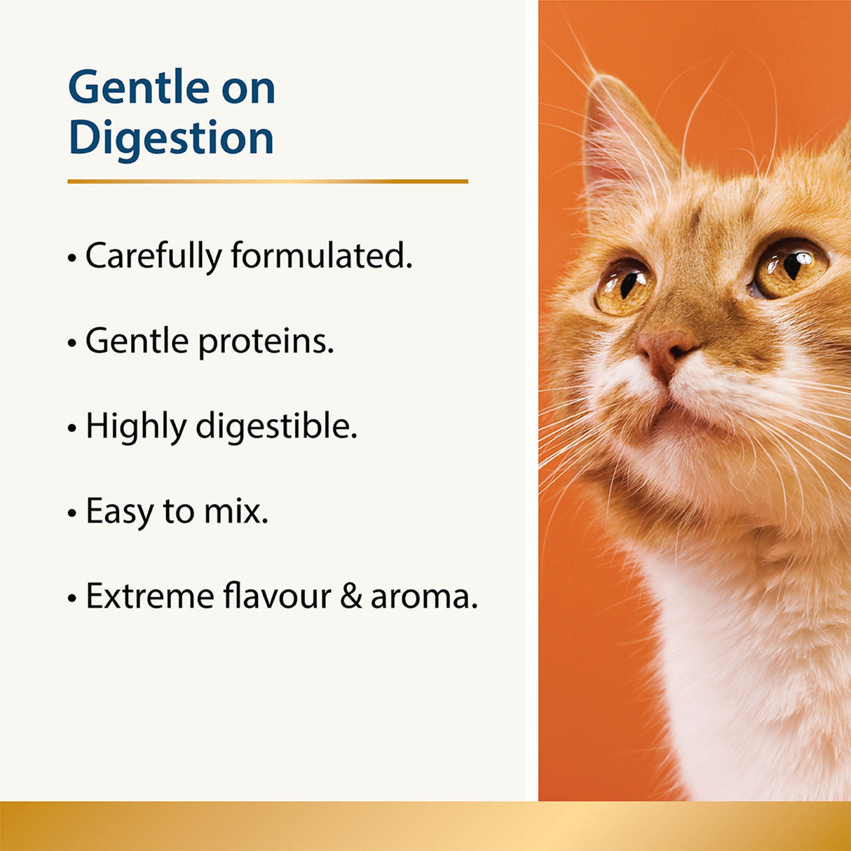 Chilled - Calming Aid for Cats