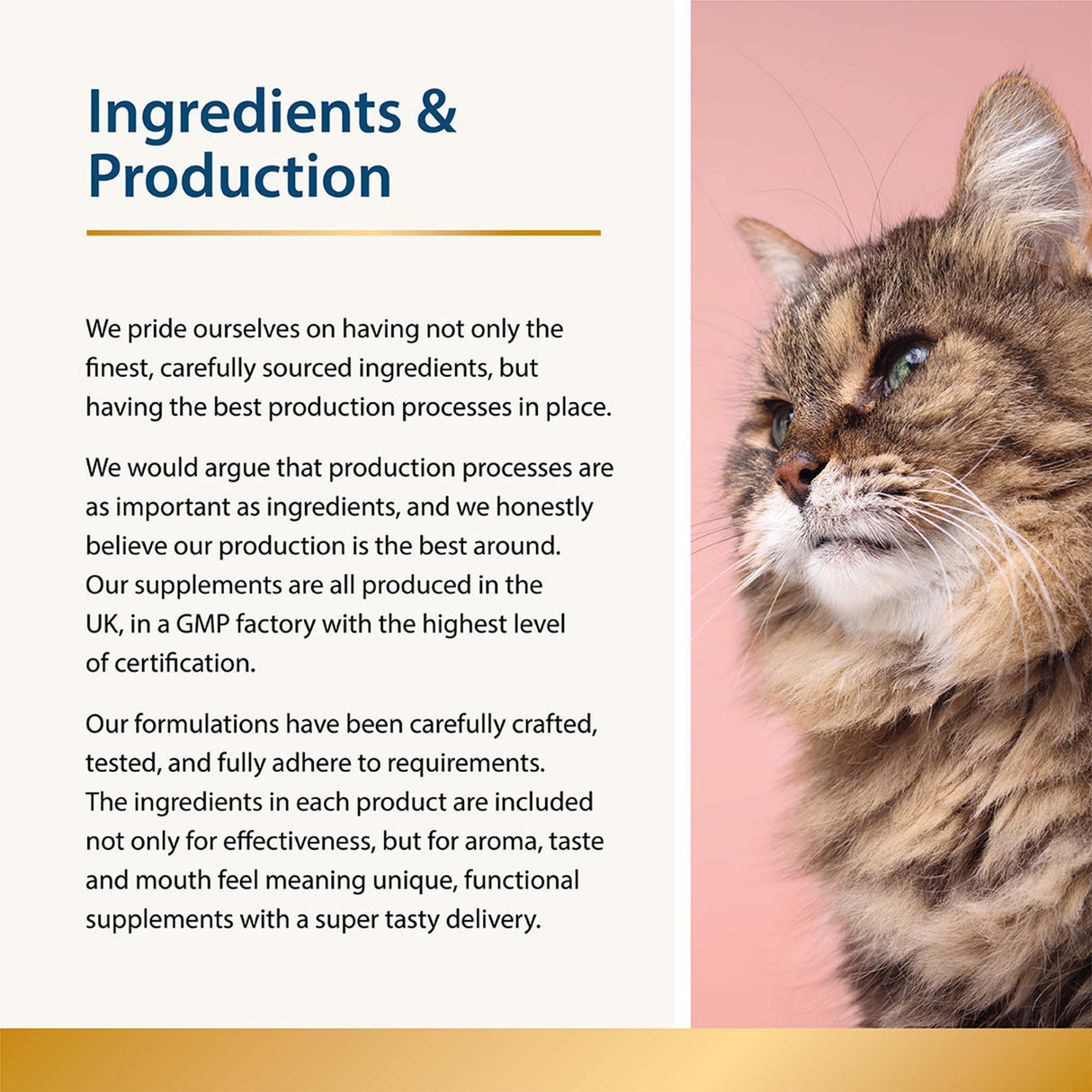 Chilled - Calming Aid for Cats