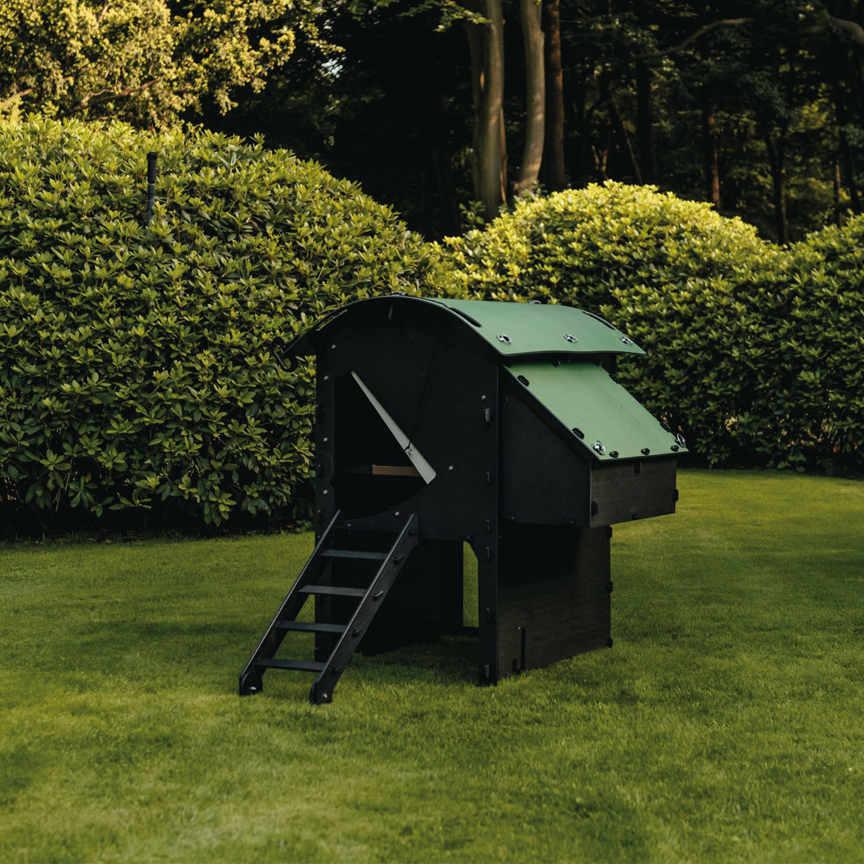 Hatching Time Nestera. Medium Raised coop can be seen in image on grass. Coop has door open with automatic coop opener. Ramp is leading up to opening for easy chicken access. Nesting box is on side connected to chicken coop, with lifting door for easy egg access. Roof of coop is slanted to prevent roosting.