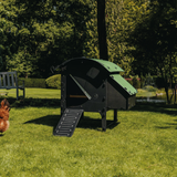 Hatching Time Nestera. Medium Lodge coop can be seen in image on grass. Coop has door open with automatic coop opener. Ramp is leading up to opening for easy chicken access. Nesting box is on side connected to chicken coop, with lifting door for easy egg access. Roof of coop is slanted to prevent roosting.