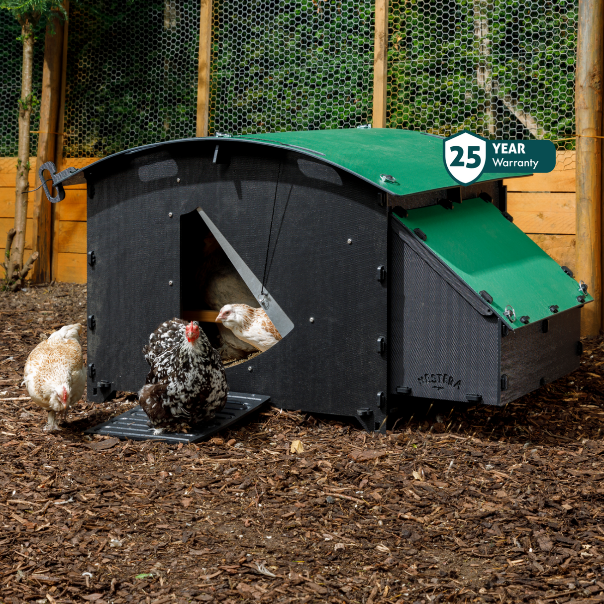 Hatching Time Nestera. Large house chicken coop is on wood chips in front of fencing. There are chickens inside and around the coop. Nesting box can be seen on side of coop. 25 year warranty sticker is on infographic.