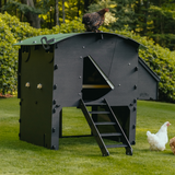 Hatching Time Nestera. Large raised chicken coop can be seen in image on grass with door open. A chicken is standing next to it. Nesting box is on side of coop. Ramp is leading up to coop door.