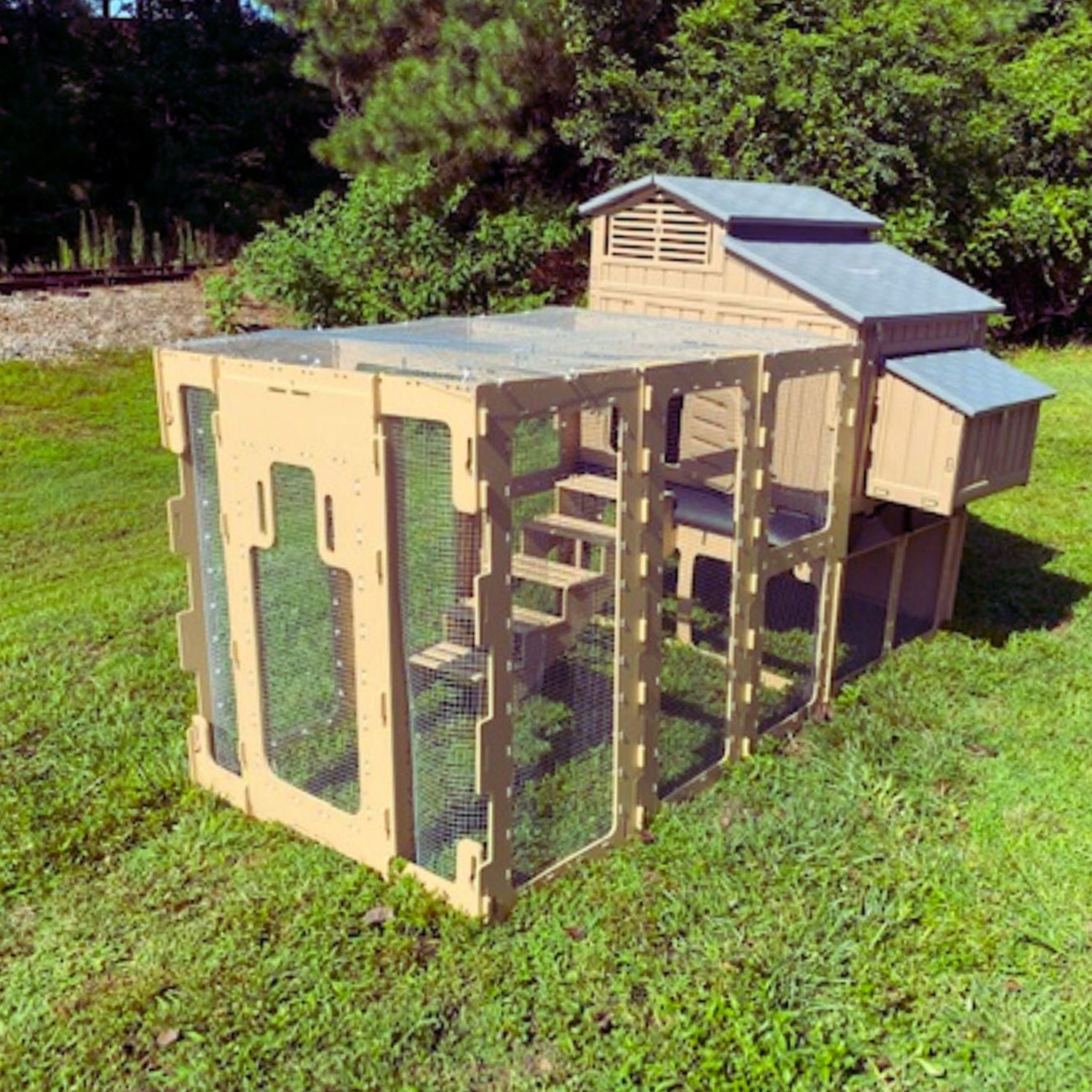 Hatching Time. Assembled Large Chicken coop run attached to Formex Large Chicken coop with Stand and Stairs