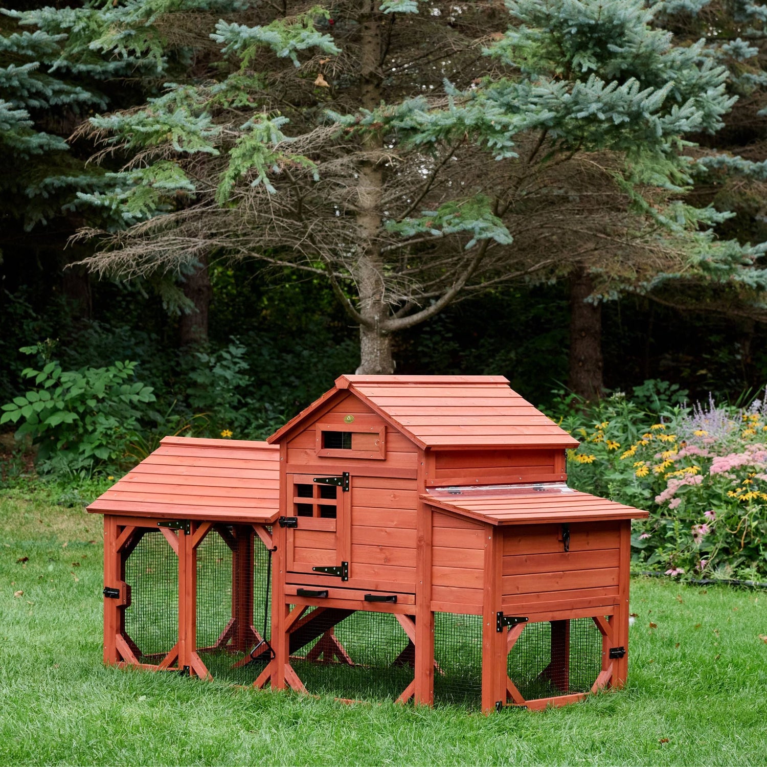 Leghorn Cottage chicken coop with raised shelter, ramp, and outdoor run