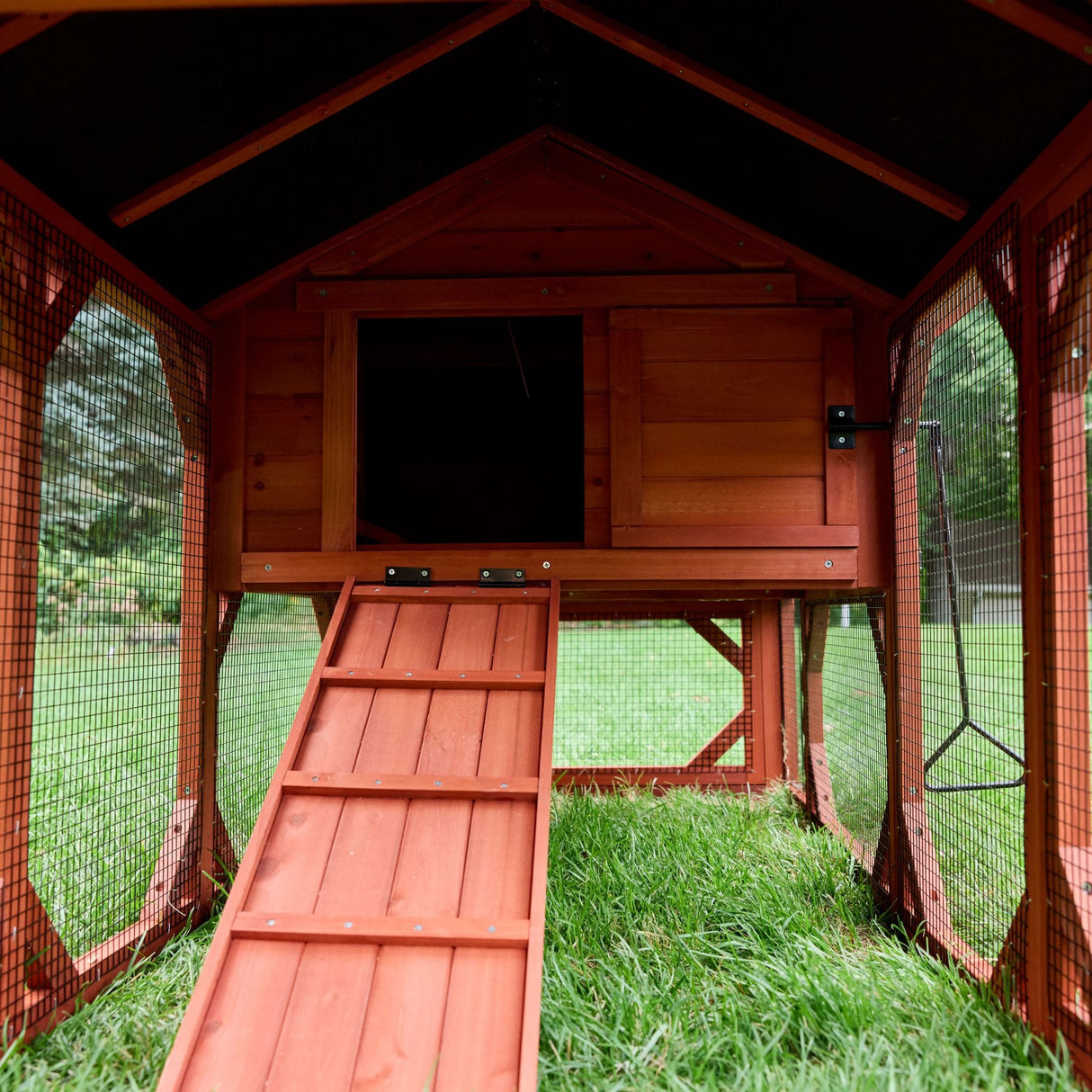Inside view of the Leghorn Cottage chicken coop run with ramp and enclosed shelter