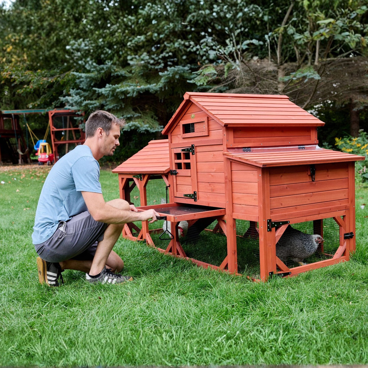 Leghorn Cottage chicken coop lifestyle photo with hens near the run