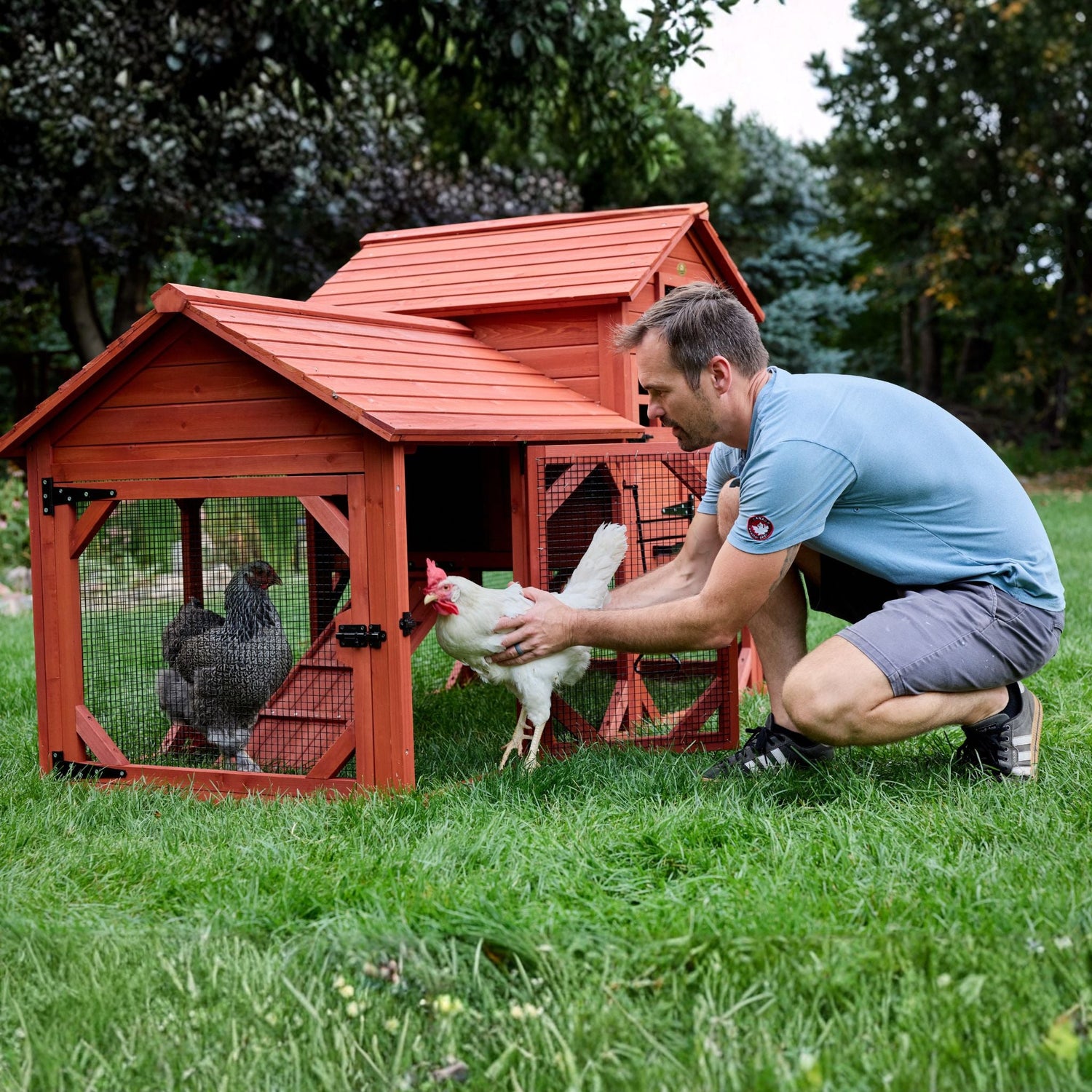 Leghorn Cottage chicken coop with outdoor run in a backyard setting