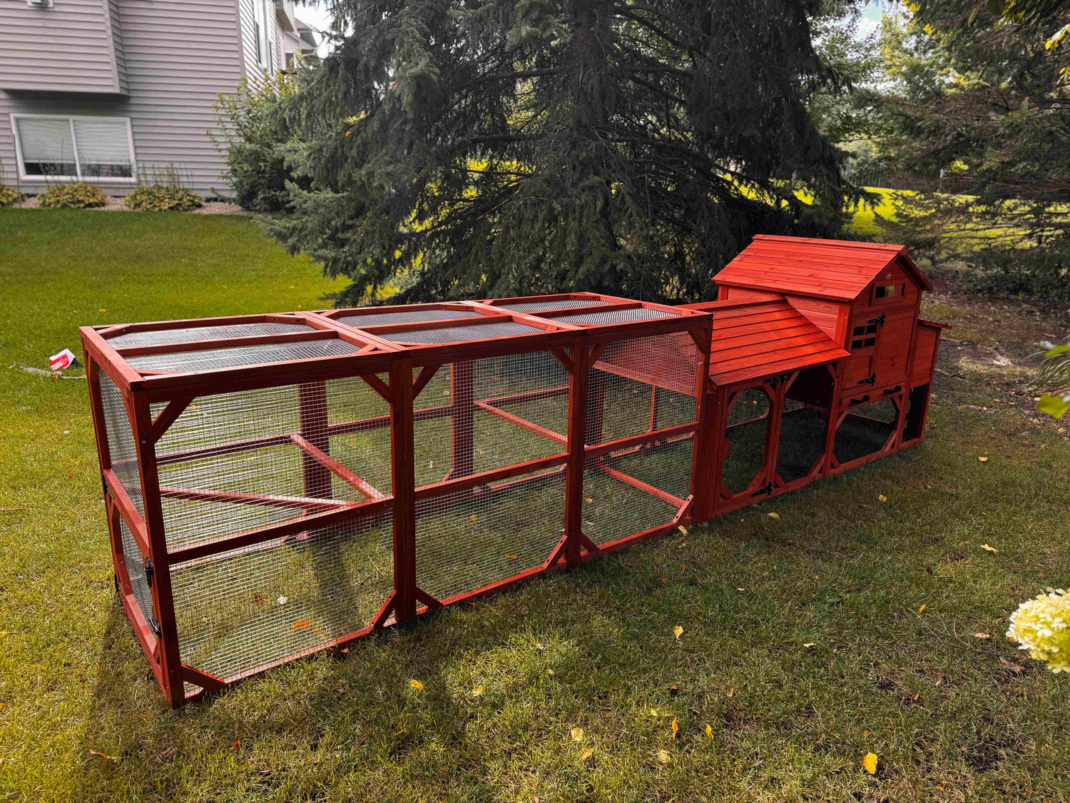 Chicken Coop for 4 Chickens - Leghorn Cottage Backyard Coop
