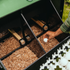 Hatching Time Nestera. Nesting box can be seen in image open with hand removing egg from box. Easy access to nesting box can be seen from lifting door. Interior Roost can be seen in image.