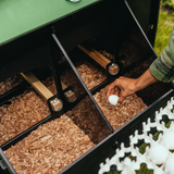 Hatching Time Nestera. Penthouse Coop bundle can be seen with open nesting box, a hand is reaching in the nesting box to extract eggs.