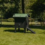 Hatching Time Nestera. Side view Small Lodge coop can be seen in image on grass. Coop has door open with automatic coop opener. Ramp is leading up to opening for easy chicken access. Roof of coop is slanted to prevent roosting.