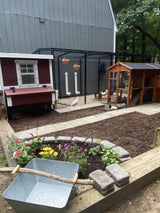 Chicken Coop - Medium (Up to 10 Chickens)