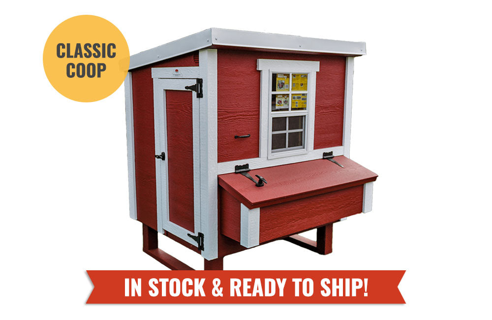 Chicken Coop - Medium (Up to 10 Chickens)