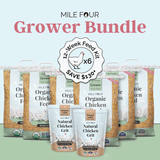 Mile Four (Grower Bundle) Organic Feed & Grit - 12 Week Supply for 6 Pullets