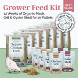 Grower Feed Kit | 12 Weeks of Organic Feed & Grit for 10 Pullets