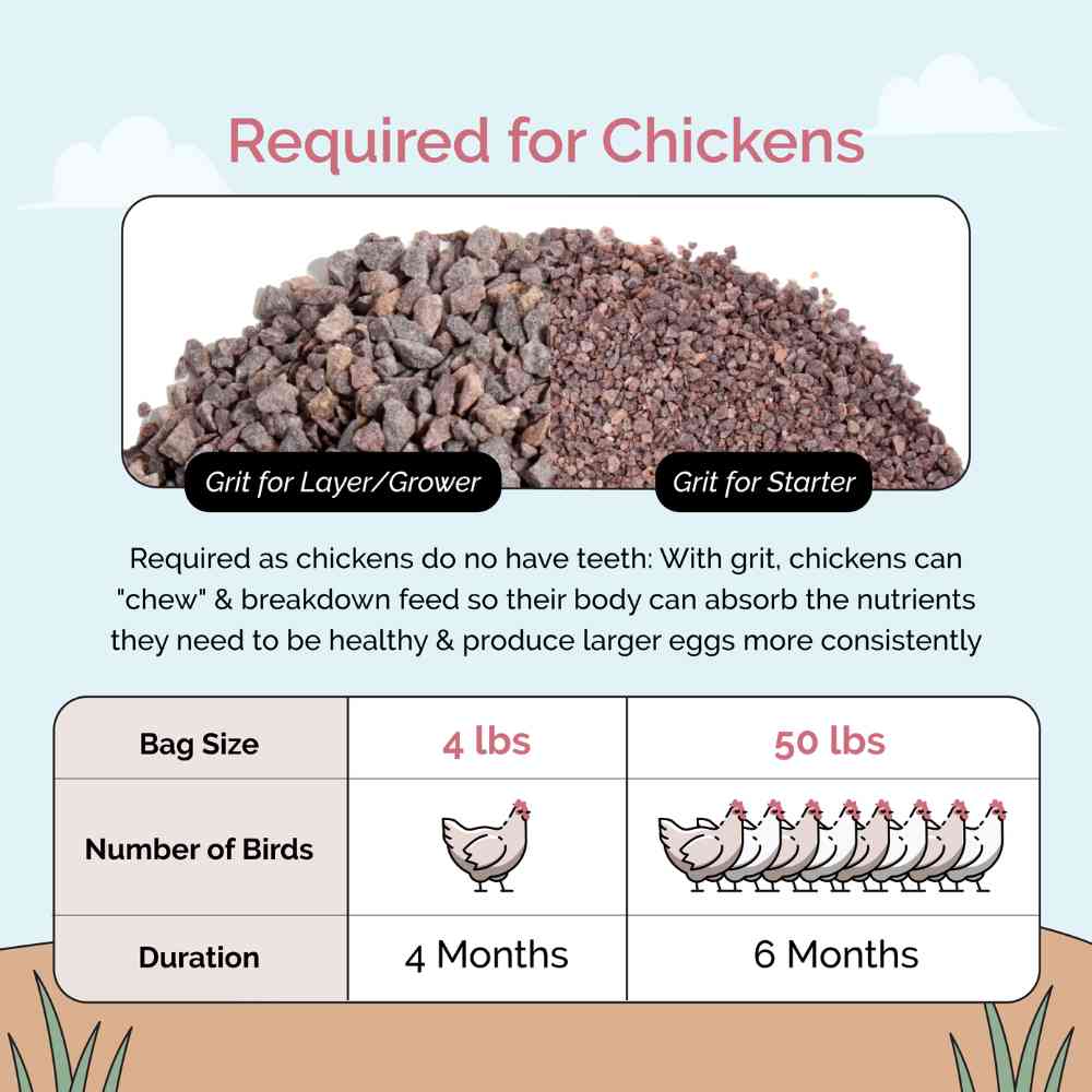 a phot of mile four grit for adults and baby chicks along with a bag size chart