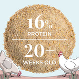 Mile Four Layer Organic Chicken Feed is 16% protein
