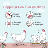 benefits of Mile Four Layer Organic Chicken Feed