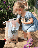 a child reaching into a large bag of Mile Four Layer Organic Chicken Feed