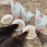 chickens eating each type of Mile Four Layer Organic Chicken Feed