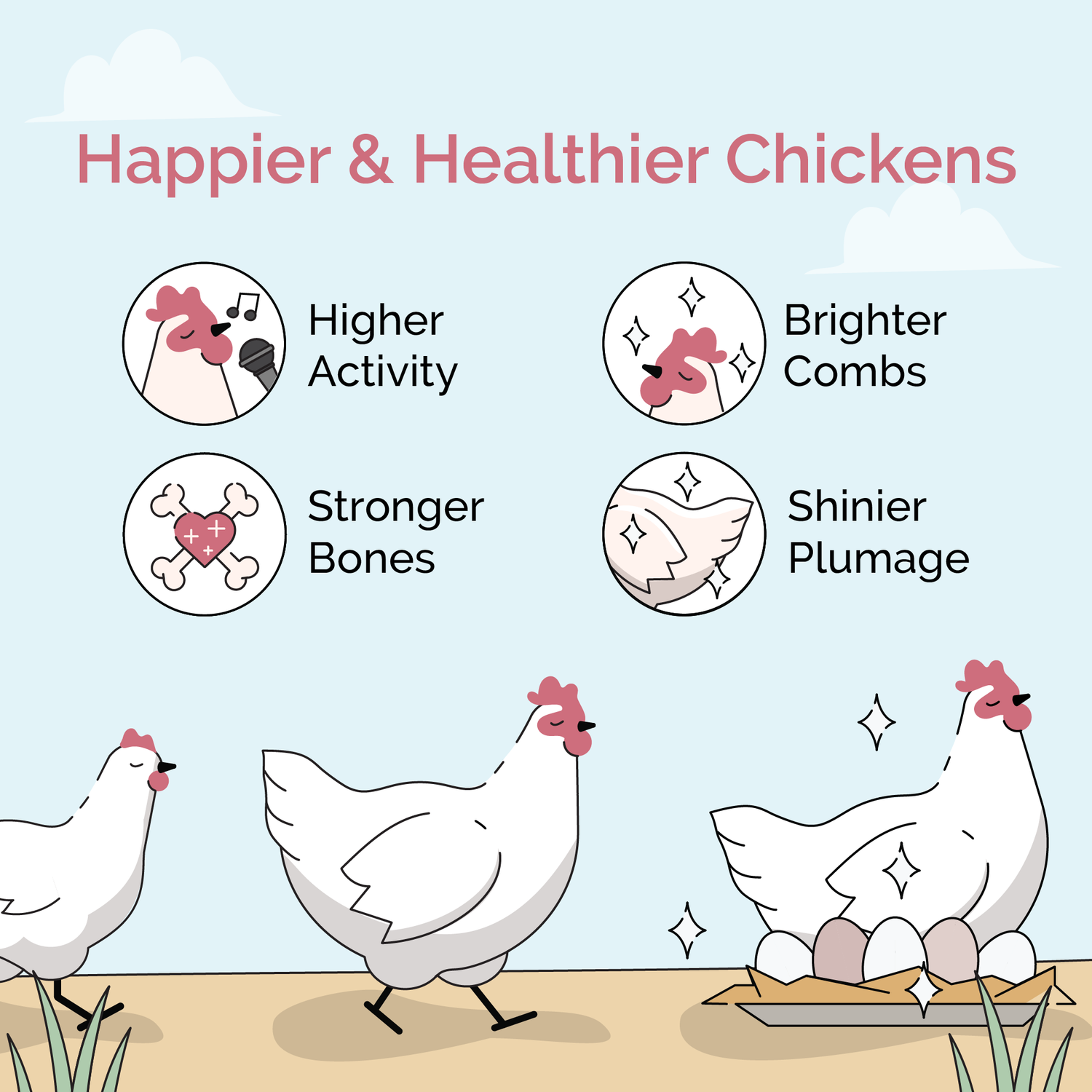 benefits to poultry from use of mile four organic chick feed