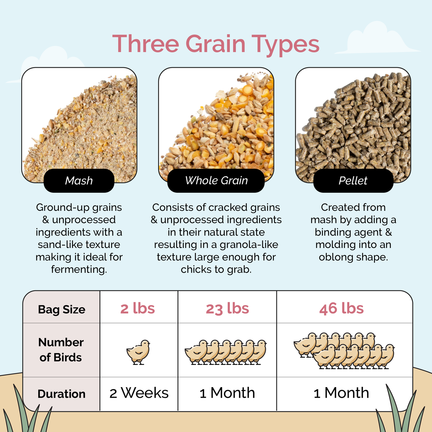 a breakdown of the three different types of mile four organic chick feed including mash whole grain and pellet 