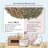 a comparison of Mile Four Starter Organic Chicken Feed to other feeds