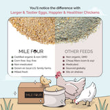 a comparison of Mile Four Starter Organic Chicken Feed vs other brands