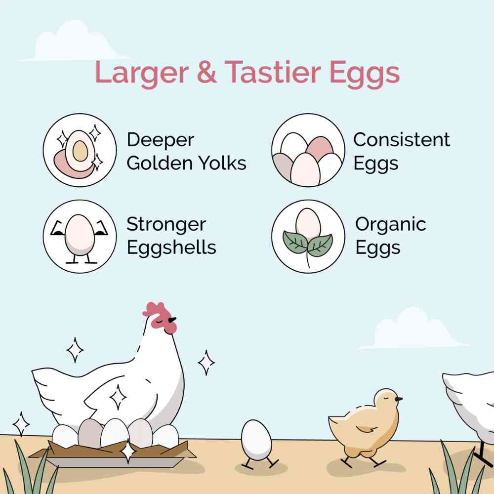 benefits of Mile Four Starter Organic Chicken Feed
