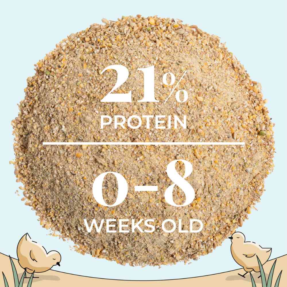 Mile Four Starter Organic Chicken Feed is 21% protein